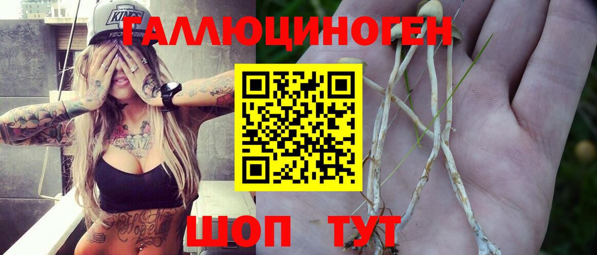 Псилоцибиновые грибы мицелий Шарыпово