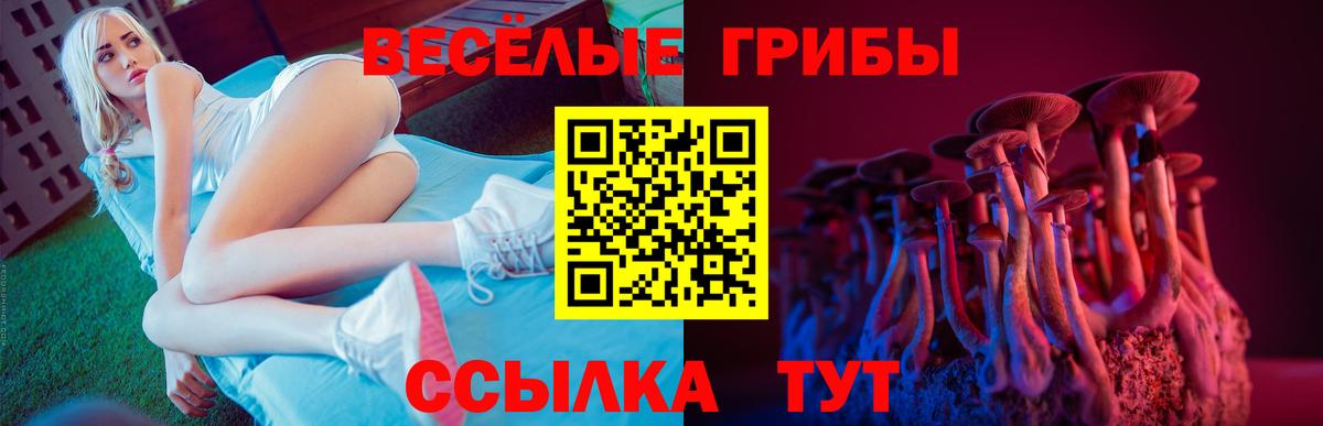 Псилоцибиновые грибы GOLDEN TEACHER  Вход с VPN  Шарыпово 
